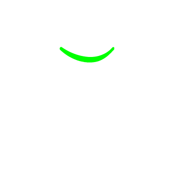 meet-the-cactus-crew.png